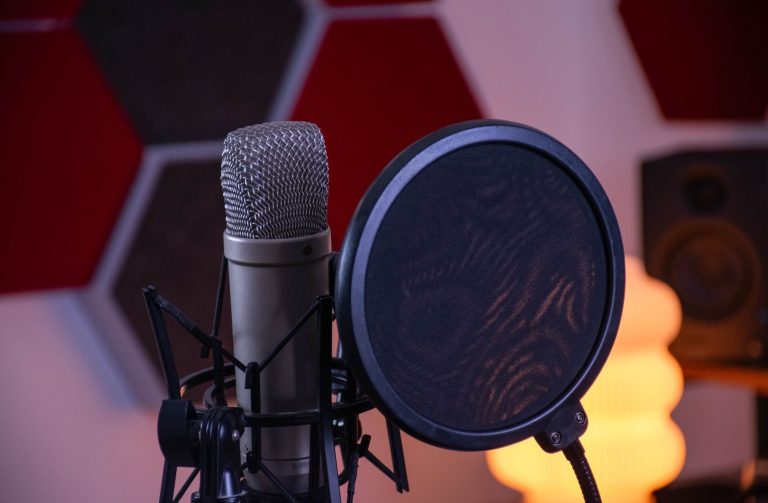 Professionelles Großmembran-Kondensatormikrofon im STUDIO65 Regensburg für sendefertige Sprachaufnahmen in High-End-Audioqualität.